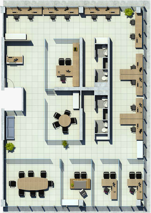 planta2