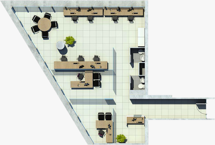 planta2